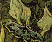 文森特 威廉 梵高 : 死去的飞蛾和海芋